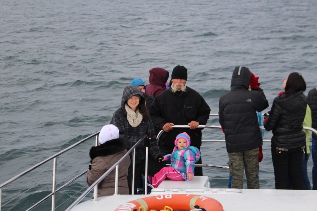 Eagle Wing Tours Dale Mitchell telling Green Tourism's Lindsay Eason and daughter how baby humpbacks calfs drink 400 L of milk a day! At 50% fat, that baby grows fast