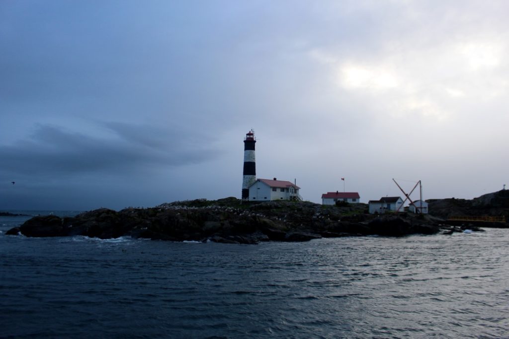 Race Rocks Lighthouse Eagle Wing Tours