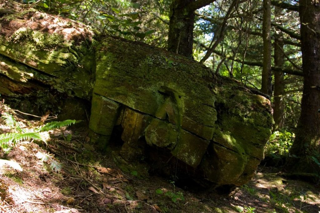 Volunteer Wardens for British Columbia’s largest ecological reserve: Checleset Bay Ecological Reserve 