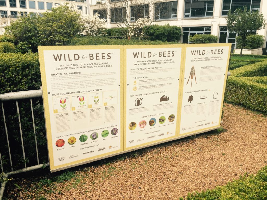Educational signs about Bees at Fairmont Waterfront Hotel, downtown Vancouver's rooftop garden