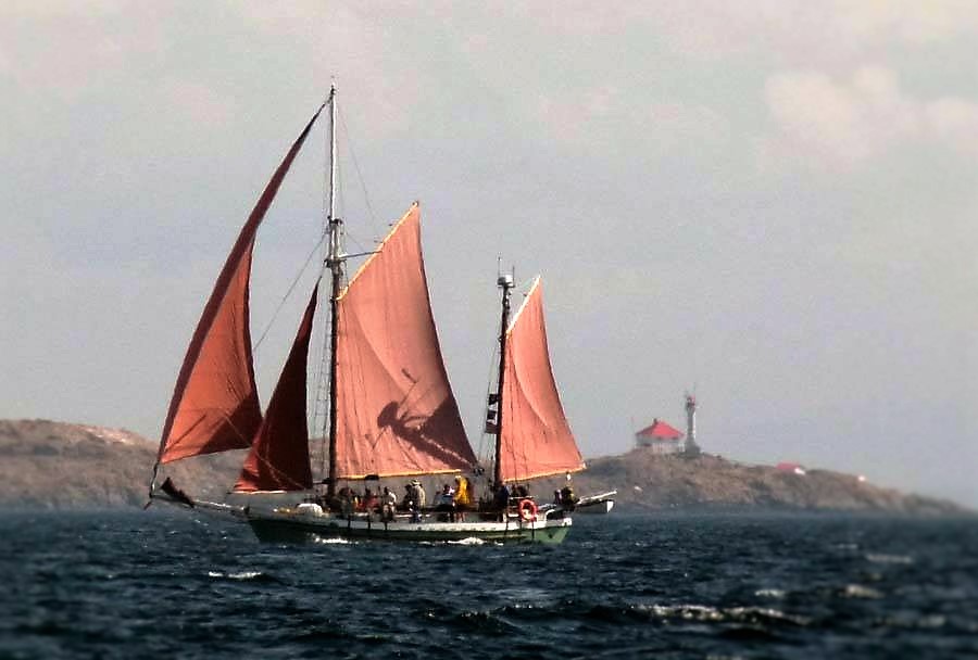 3 Hour Sail Wind Powered - Green Tourism Canada