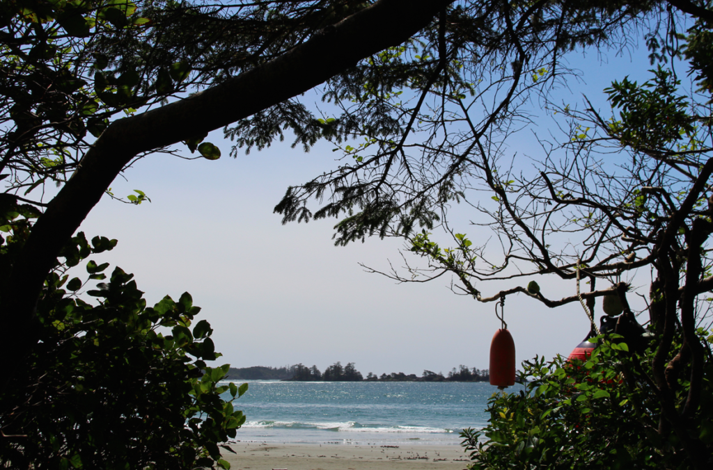 View from the Carving Shed. Photo Credit: Lindsay Eason