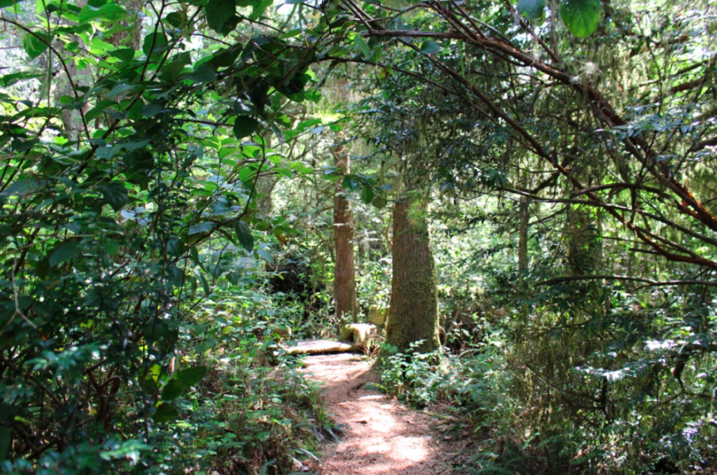 The Rainforest Loop, The Wickaninnish Inn