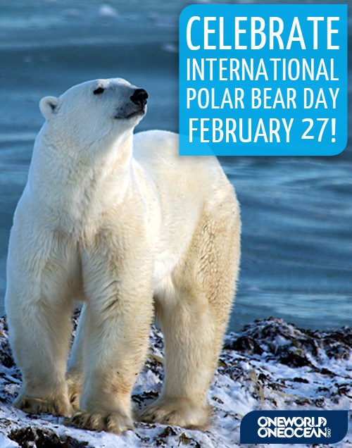 International Polar Bear Day 2025 Tate Theresa