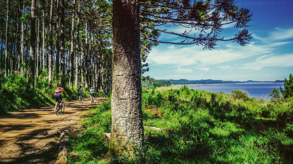 bikers along a coastal forest path depicting a sustainable destination